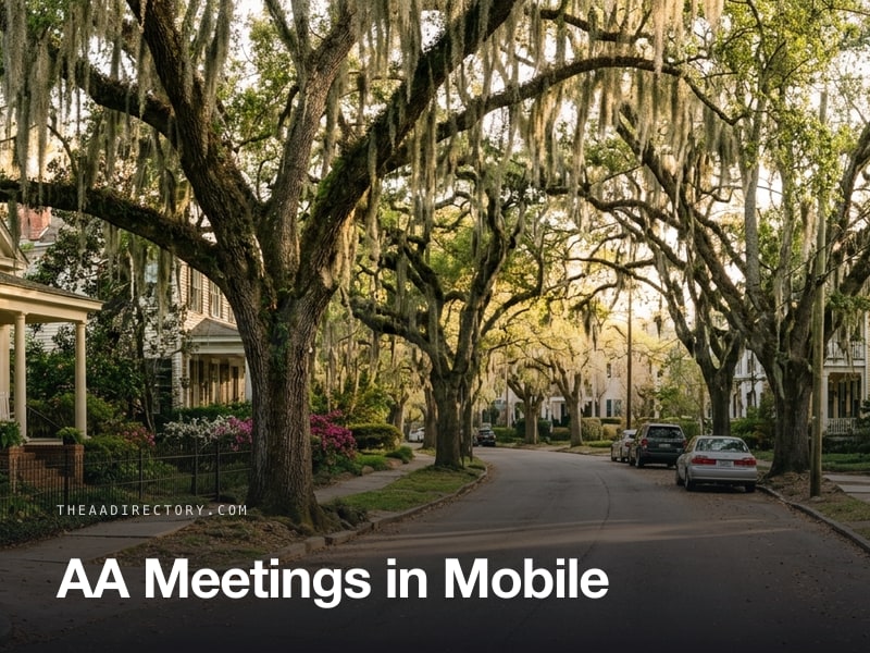 AA meetings in Mobile, Alabama