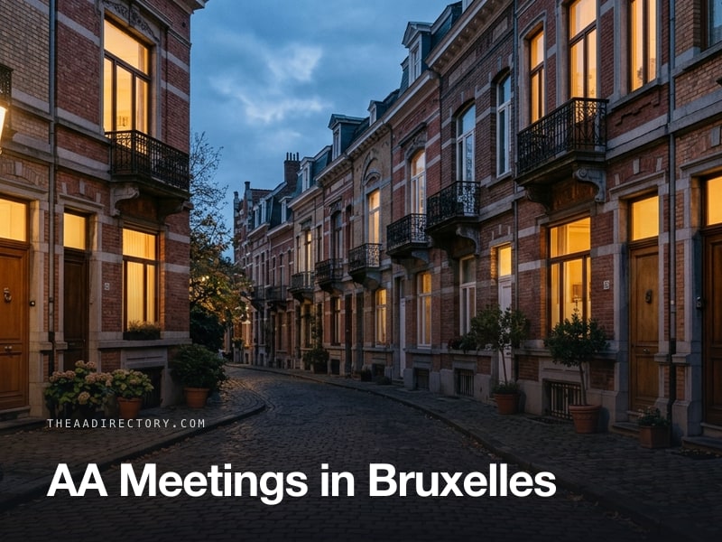 AA meetings in Bruxelles, Belgium