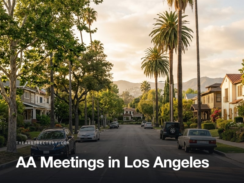 AA meetings in Los Angeles, California