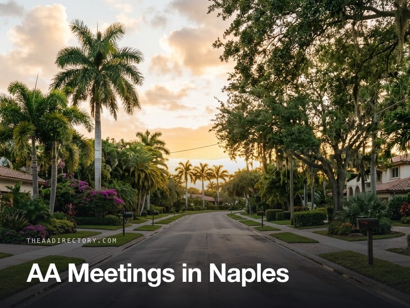 AA meetings in Naples, Florida