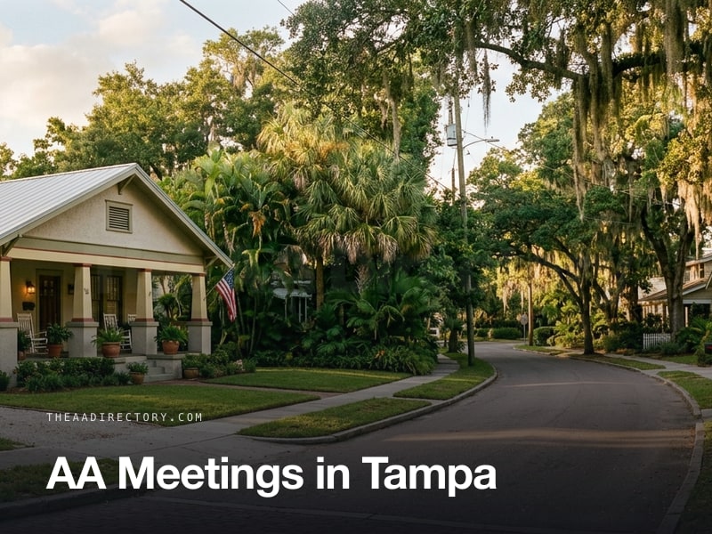 AA meetings in Tampa, Florida