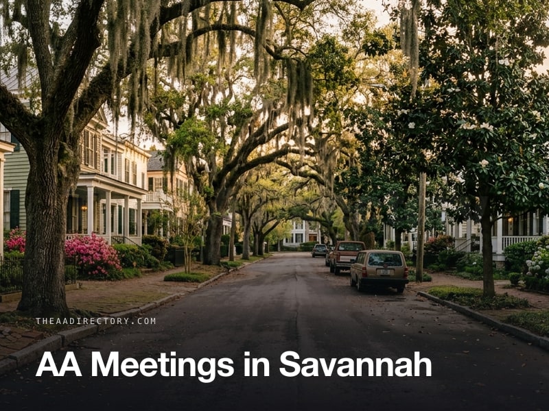AA meetings in Savannah, Georgia