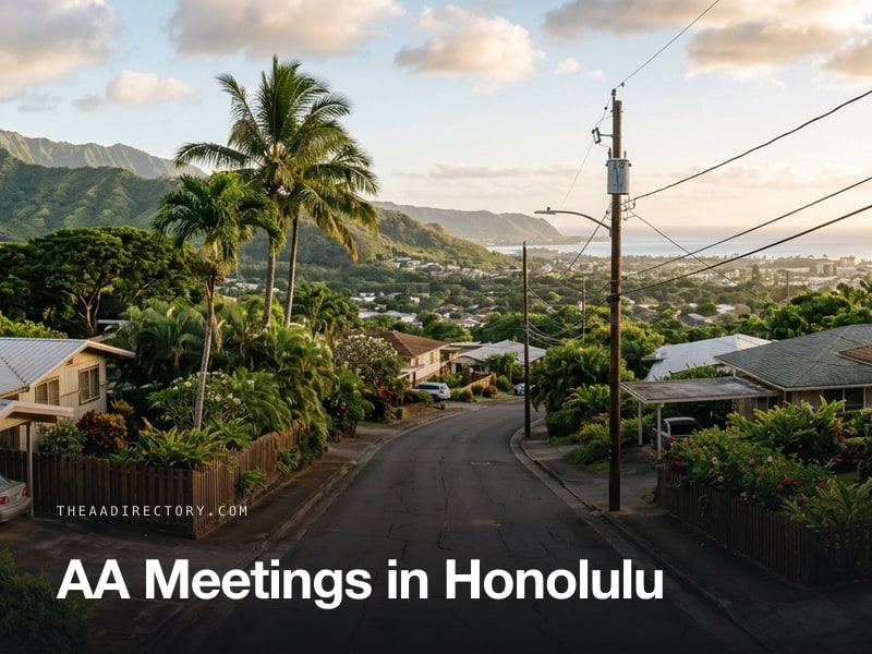 AA meetings in Honolulu, Hawaii