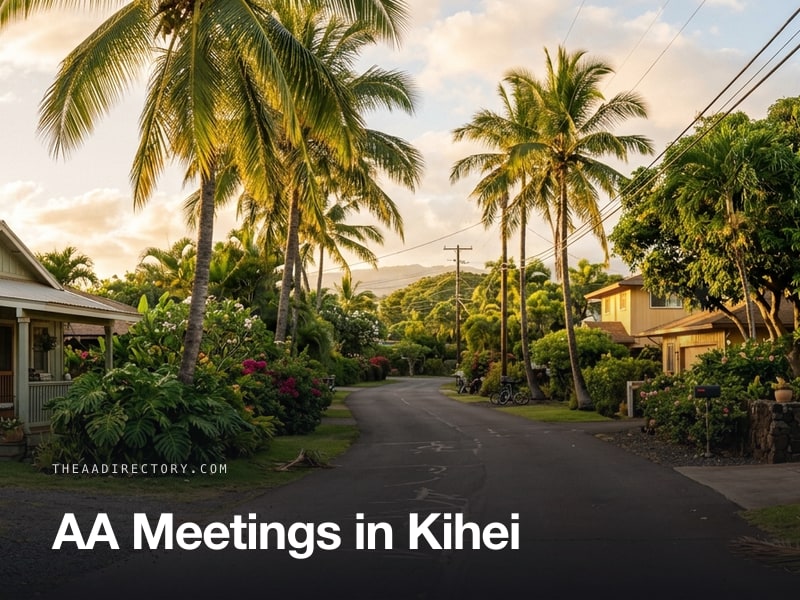 AA meetings in Kihei, Hawaii