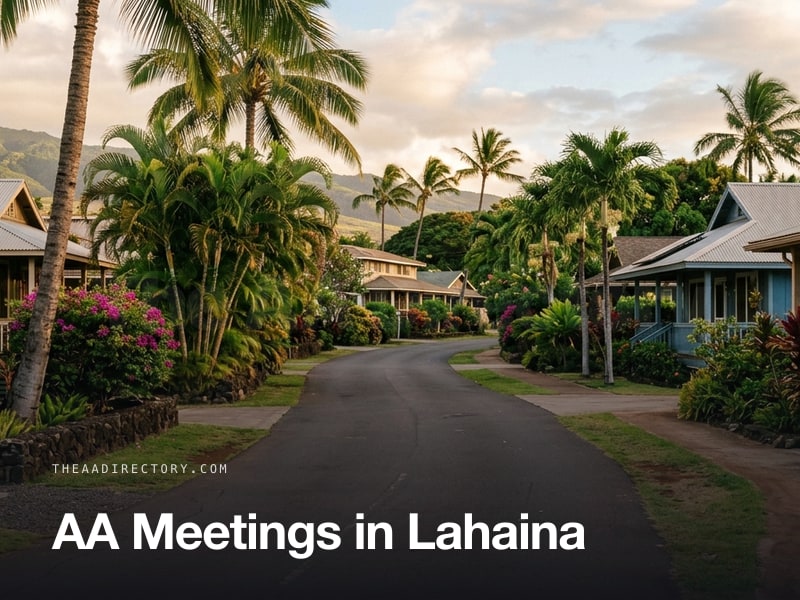 AA meetings in Lahaina, Hawaii