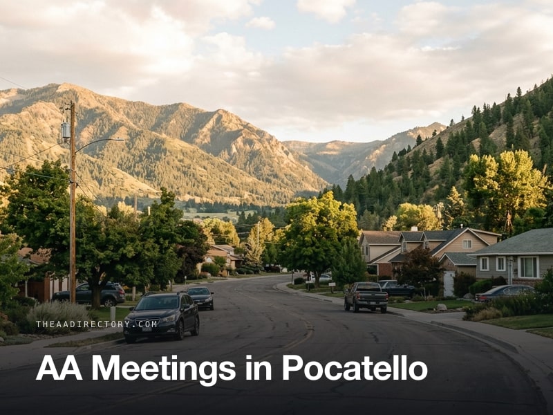 AA meetings in Pocatello, Idaho