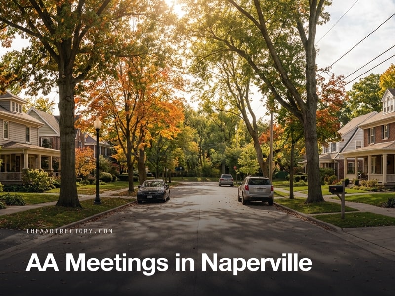 AA meetings in Naperville, Illinois