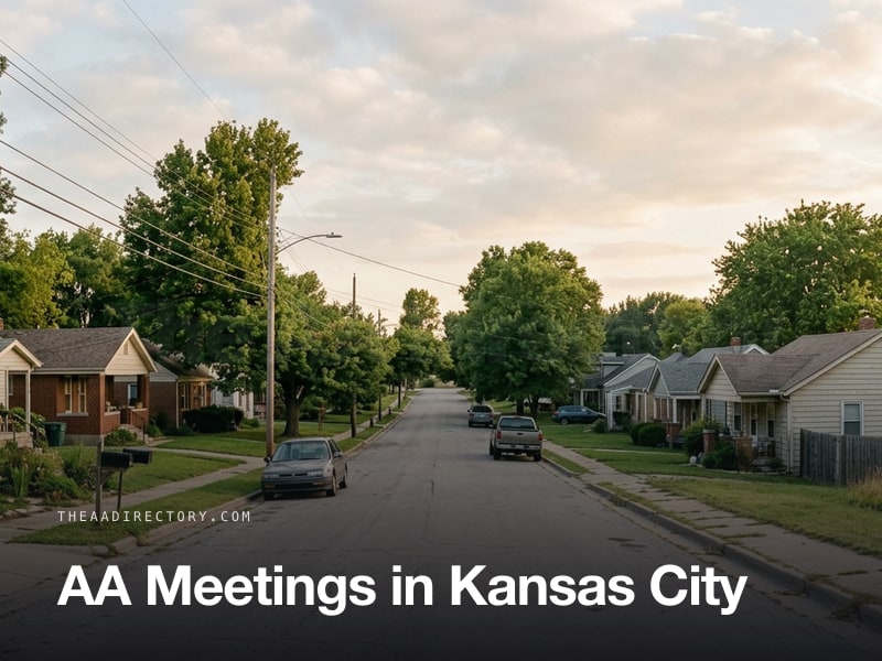 AA meetings in Kansas City, Kansas