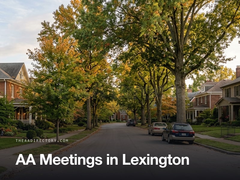 AA meetings in Lexington, Kentucky