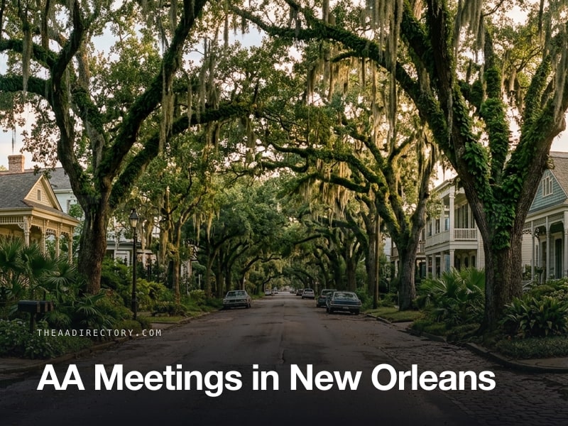 AA meetings in New Orleans, Louisiana