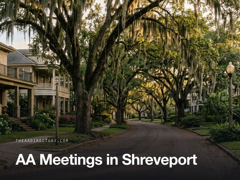 AA meetings in Shreveport, Louisiana