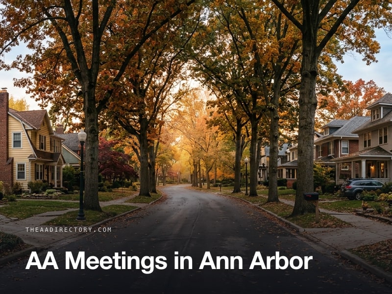 AA meetings in Ann Arbor, Michigan