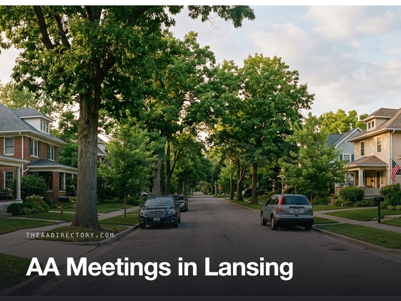 AA meetings in Lansing, Michigan