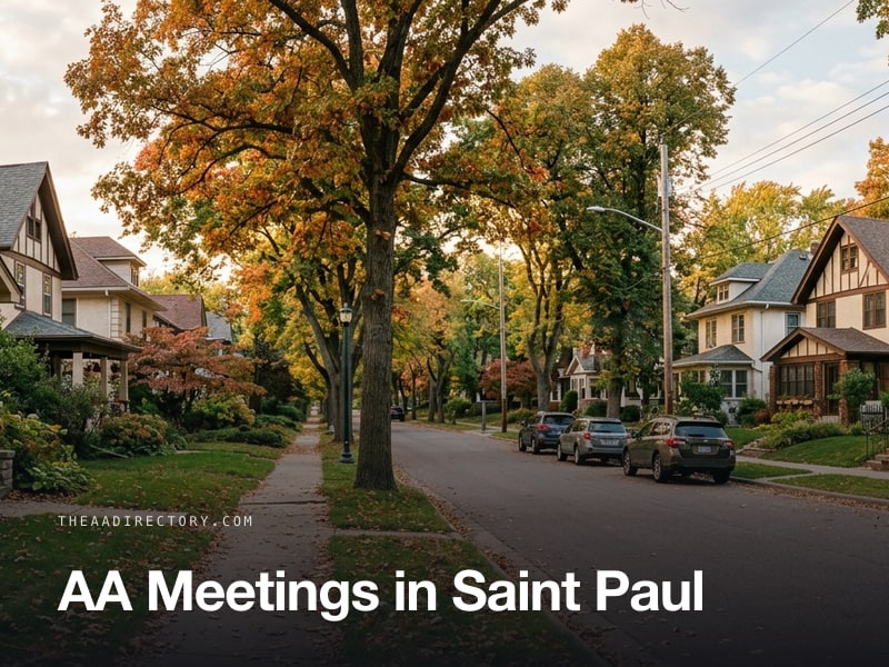 AA meetings in Saint Paul, Minnesota