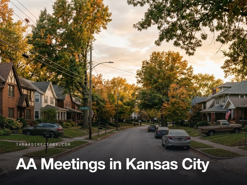 AA meetings in Kansas City, Missouri