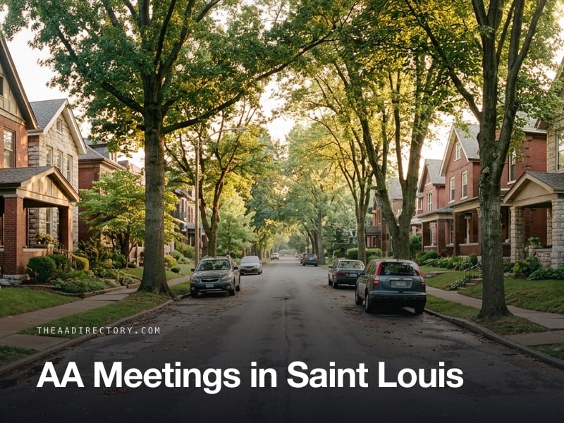 AA meetings in Saint Louis, Missouri