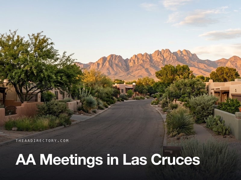 AA meetings in Las Cruces, New Mexico