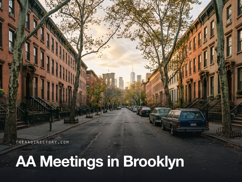 AA meetings in Brooklyn, New York