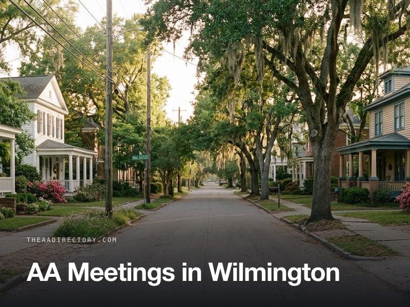 AA meetings in Wilmington, North Carolina