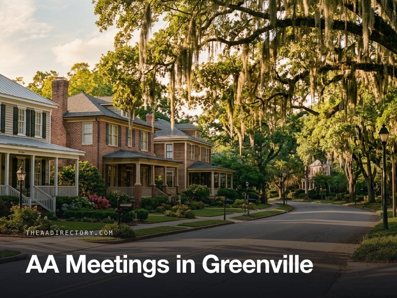AA meetings in Greenville, South Carolina