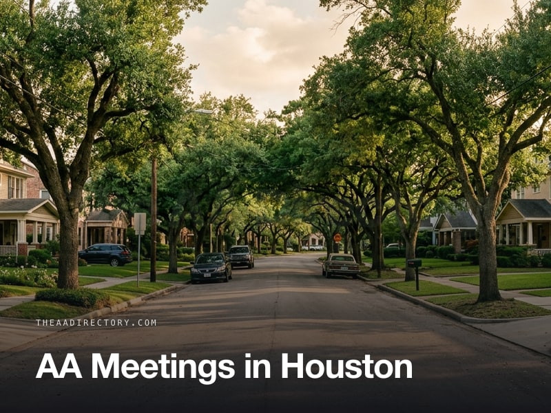 AA meetings in Houston, Texas