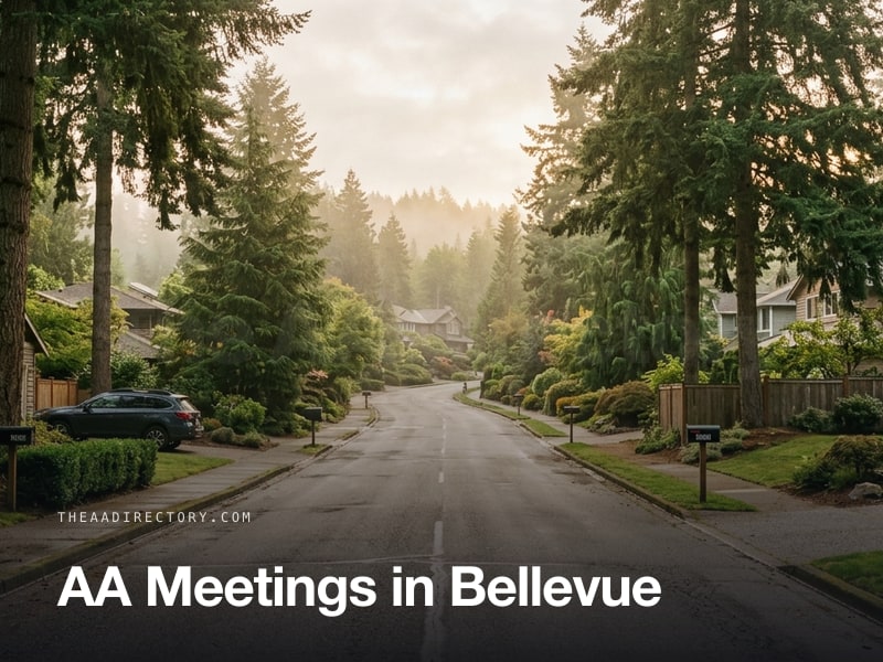 AA meetings in Bellevue, Washington