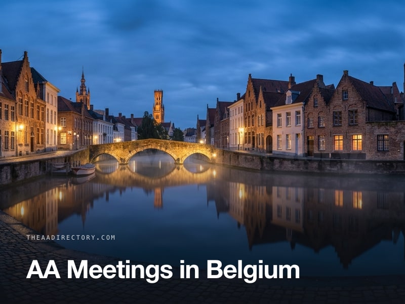 AA meetings across Belgium