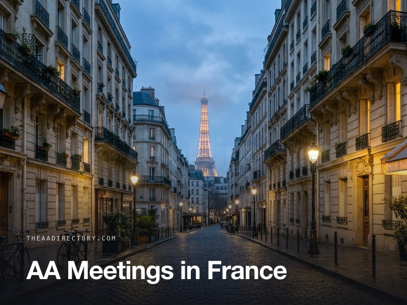 AA meetings across France