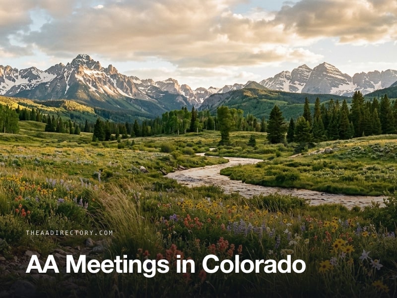 AA meetings across Colorado
