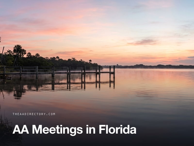 AA meetings across Florida