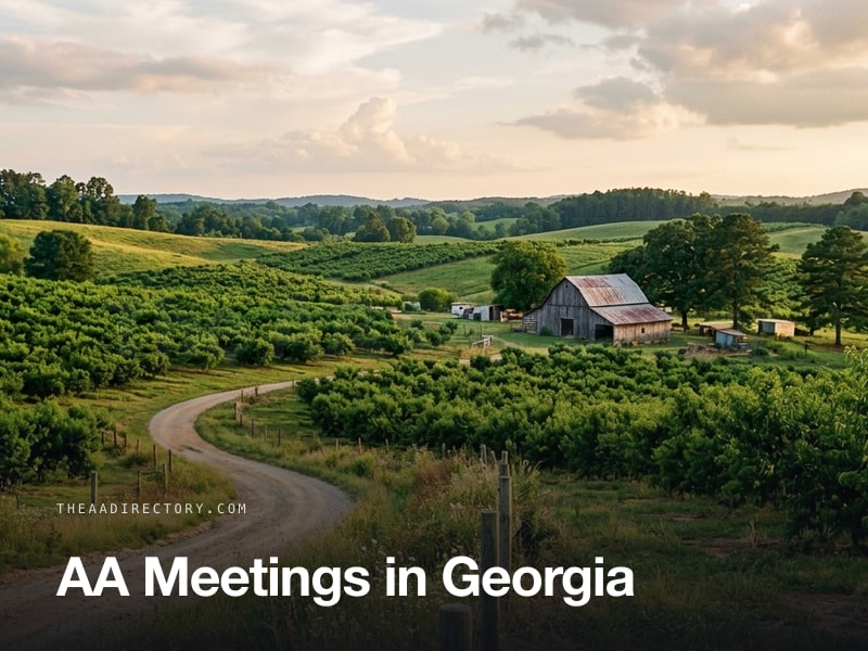 AA meetings across Georgia