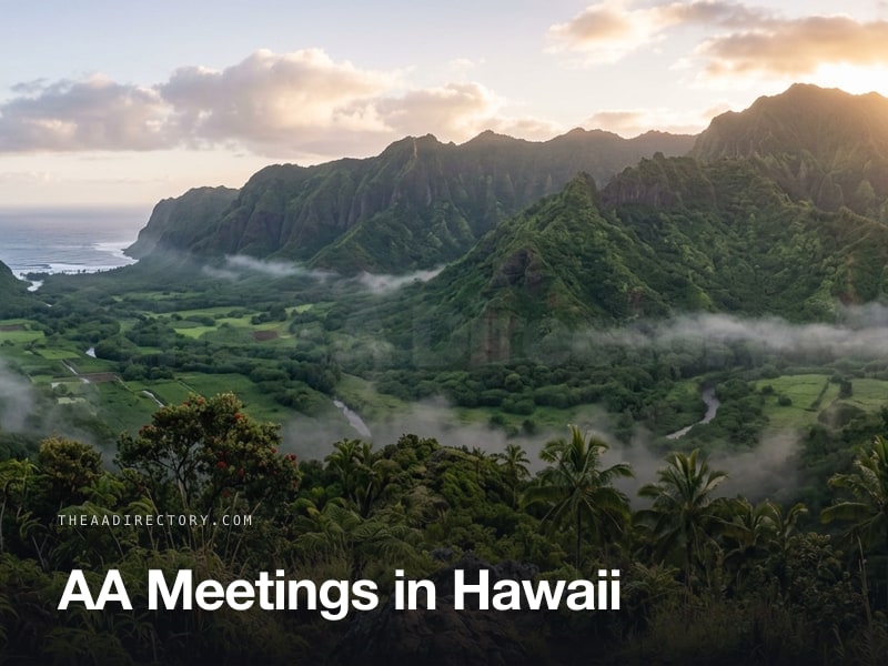 AA meetings across Hawaii