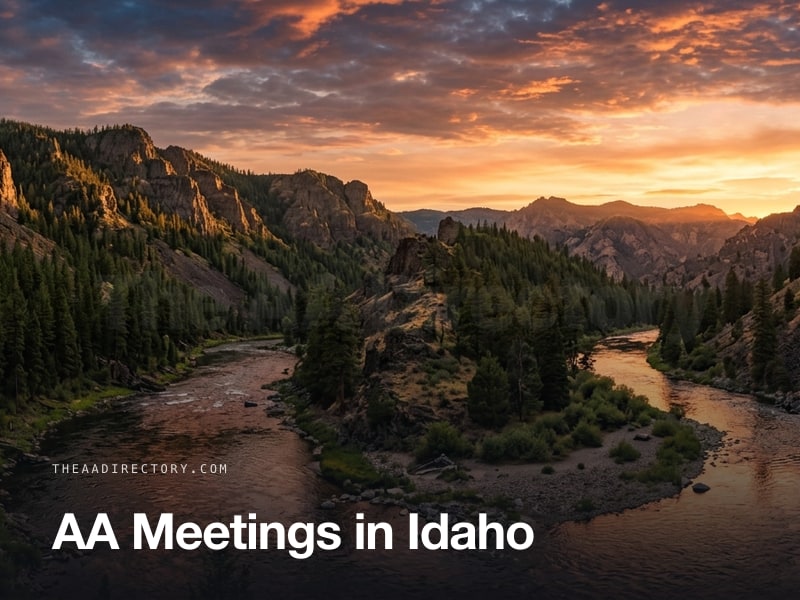 AA meetings across Idaho