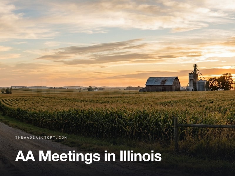 AA meetings across Illinois
