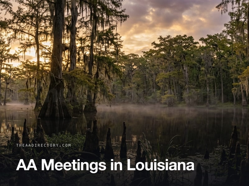 AA meetings across Louisiana