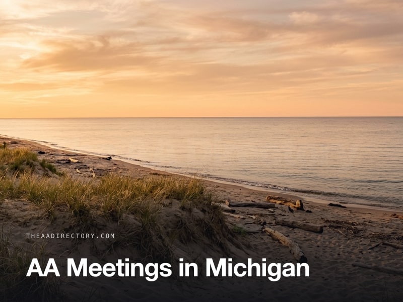 AA meetings across Michigan