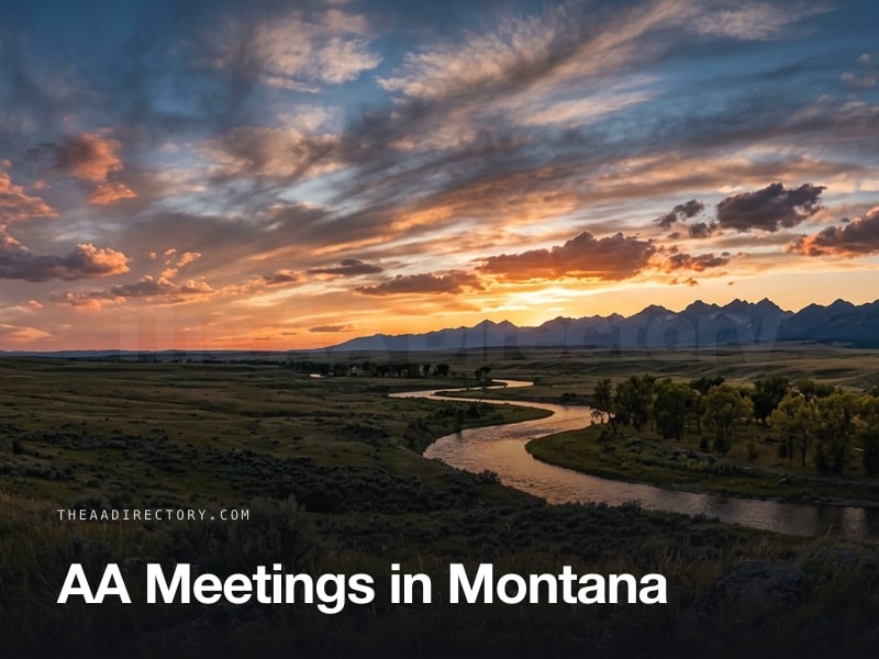 AA meetings across Montana