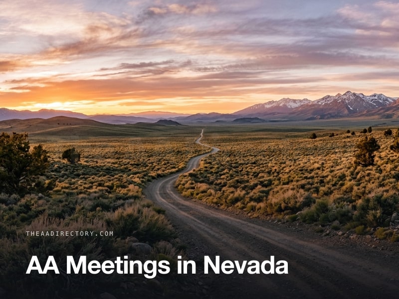 AA meetings across Nevada