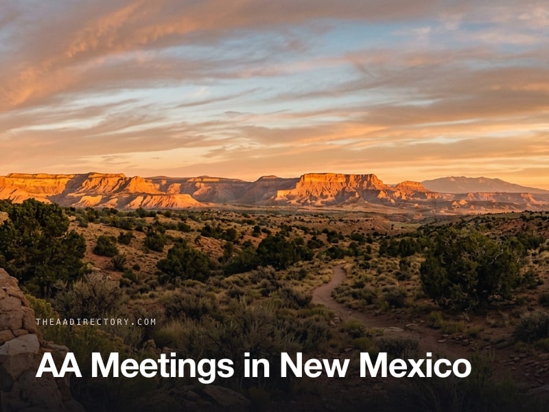AA meetings across New Mexico