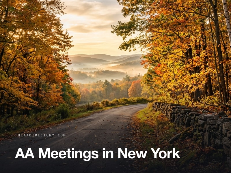 AA meetings across New York