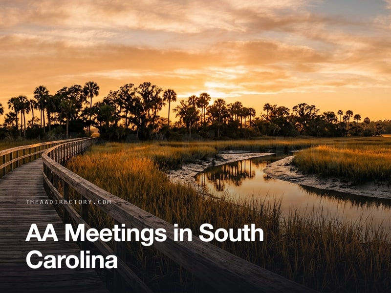 AA meetings across South Carolina