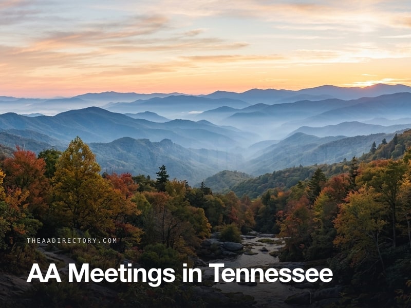 AA meetings across Tennessee