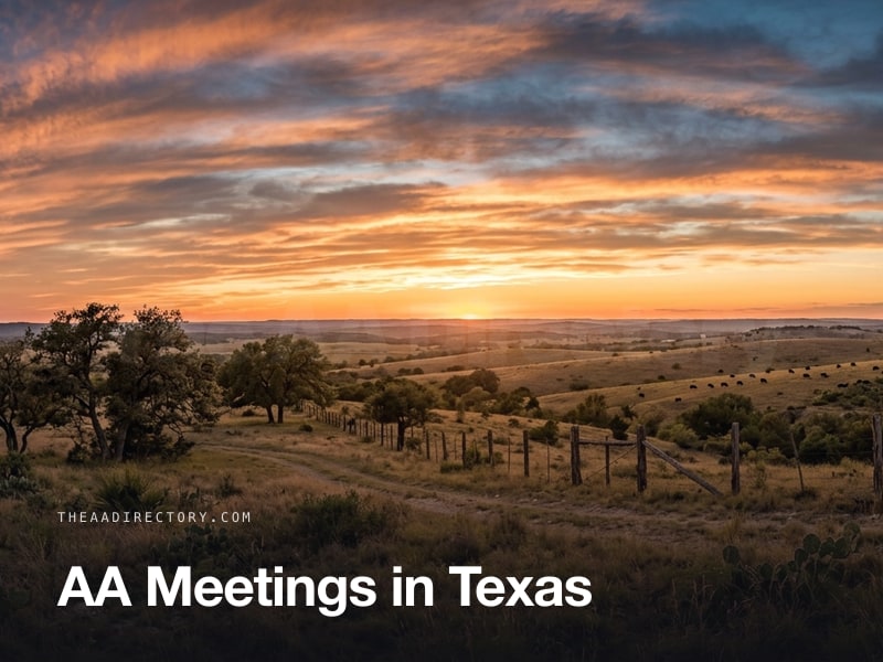 AA meetings across Texas