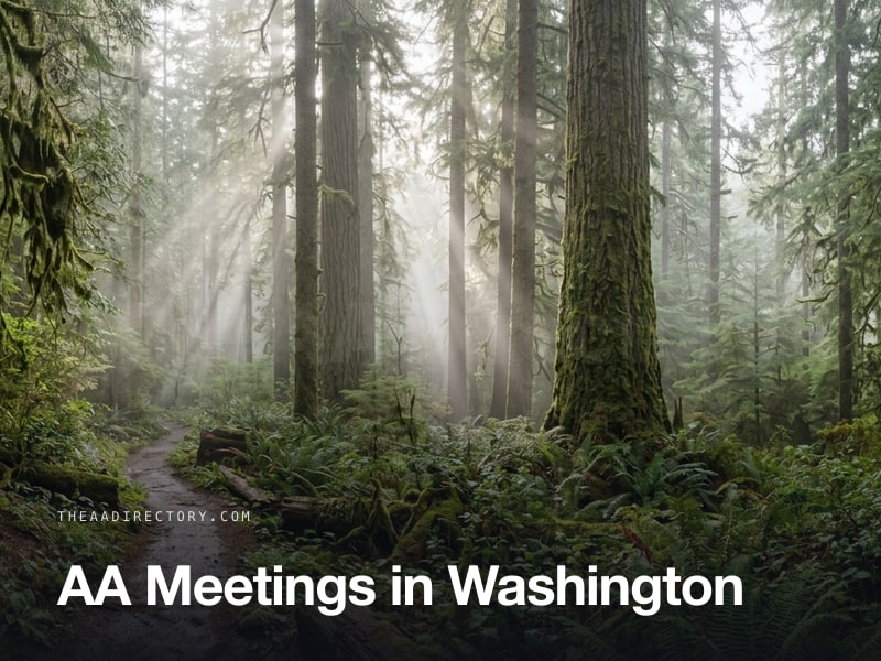 AA meetings across Washington