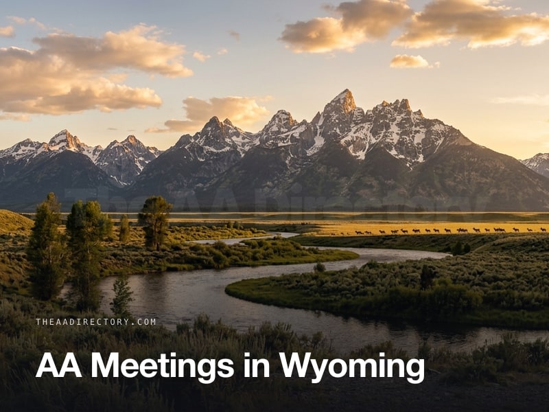 AA meetings across Wyoming